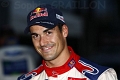 Dani Sordo   Toonumbar